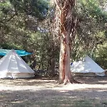 De Avec Terrasse - Pinarello - Api-1-52-904 Camping