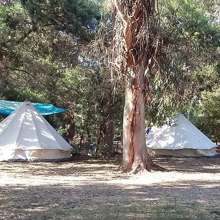 De Avec Terrasse - Pinarello - Api-1-52-904 Parque de Campismo