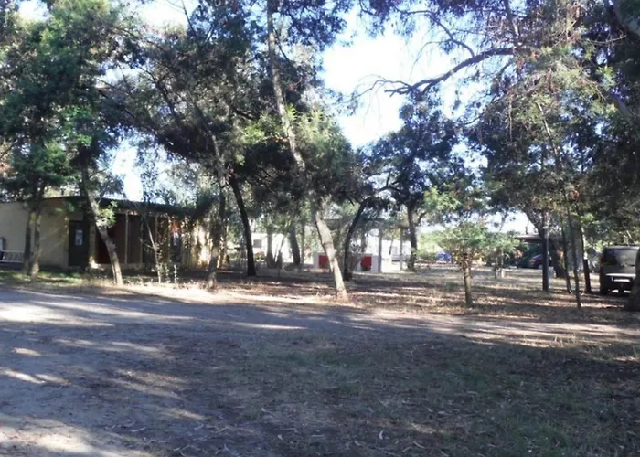 Campingplatz De Avec Terrasse - Pinarello - Api-1-52-904 *