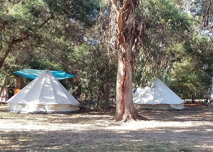 De Avec Terrasse - Pinarello - Api-1-52-904 Campingplatz